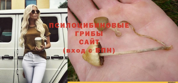 наркотики Бородино