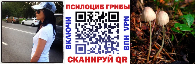 MEGA вход  как найти закладки  Волгореченск  Галлюциногенные грибы GOLDEN TEACHER 